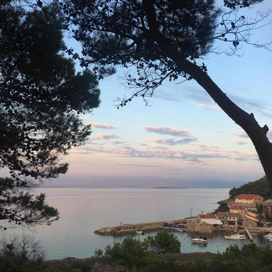 Villa Millefiori - Apartments Mali Losinj Bagian luar foto